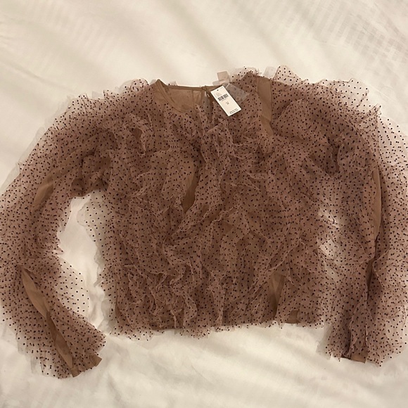 Anthropologie Dolan Left Coast Mesh Ruffle Top - Medium - Picture 5 of 12